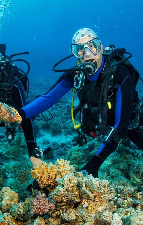 booking system for scuba diving operators